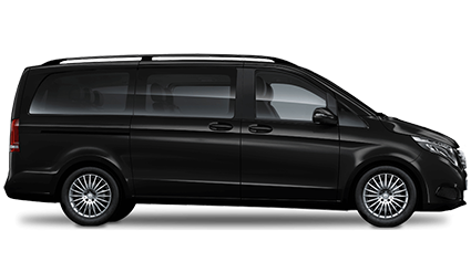 MPV Large.png